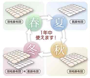 SP Sスタイル羽毛合掛ふとん　シングルサイズ　150×210 ㎝ 　800g