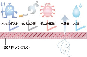 SP Sスタイル羽毛合掛ふとん　シングルサイズ　150×210 ㎝ 　800g